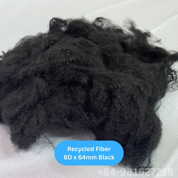 Recycled Fiber 6D