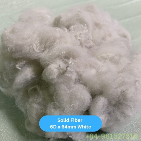 Solid Fiber 6D