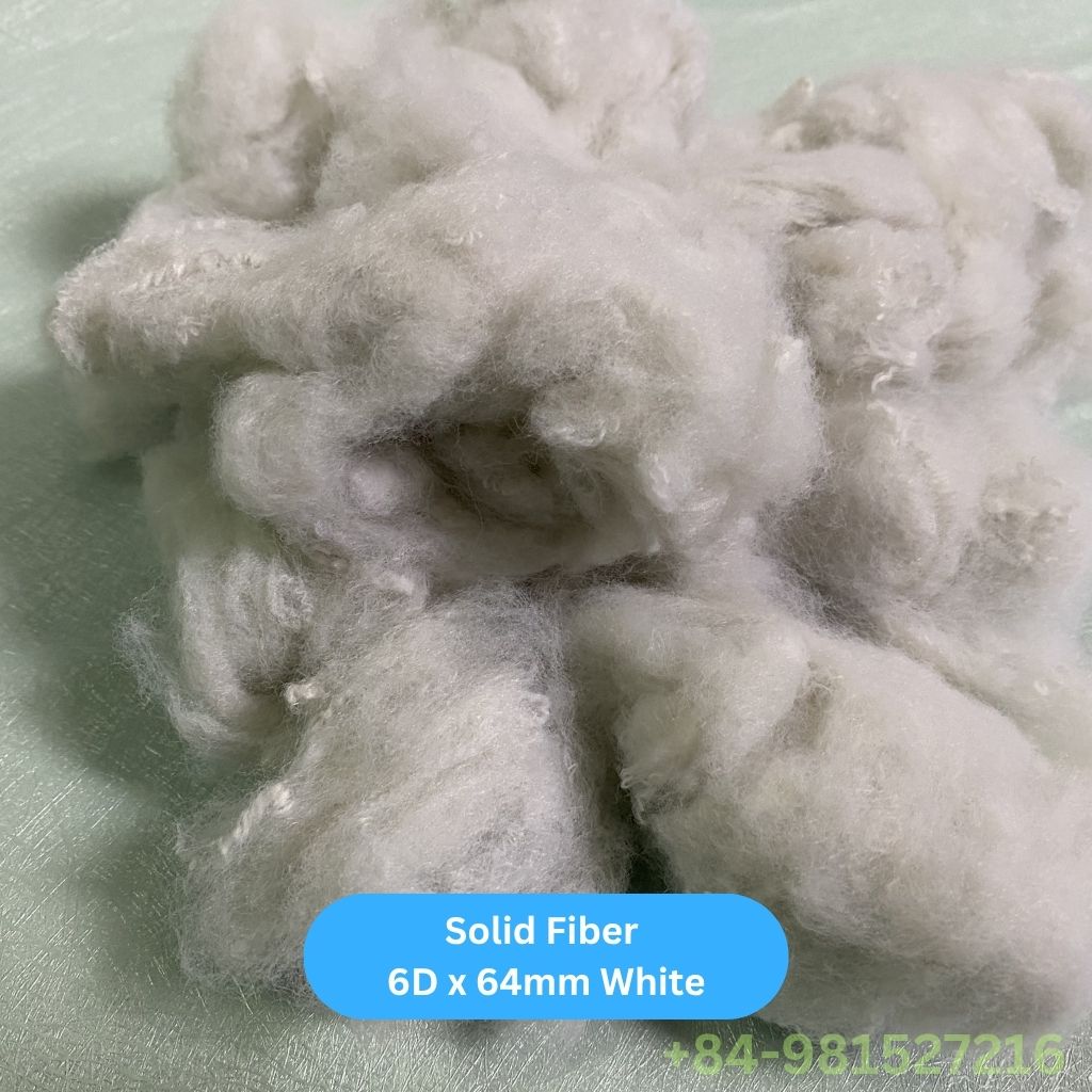 Solid Fiber 6D