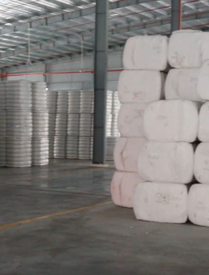 Packing & Export